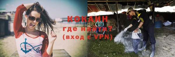 индика Армянск