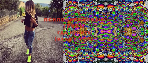 индика Армянск